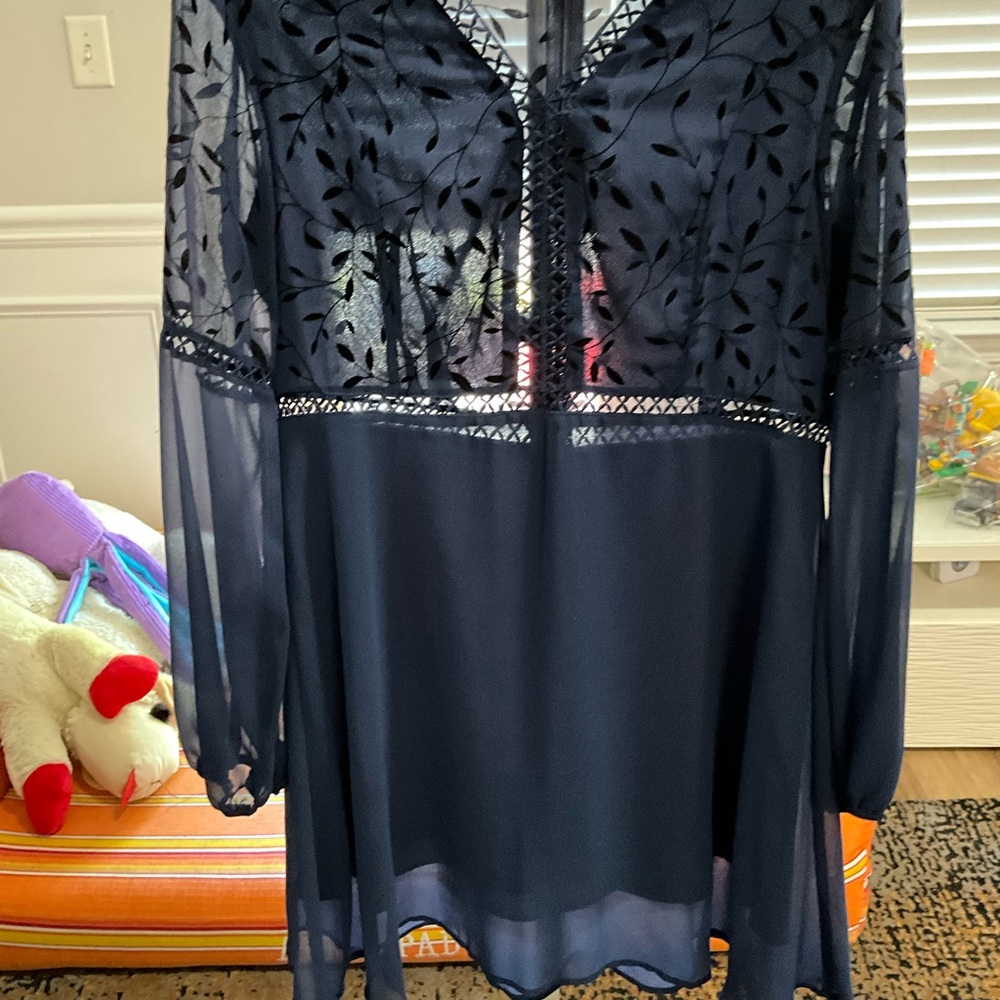 Elegant Black Sheer Dress